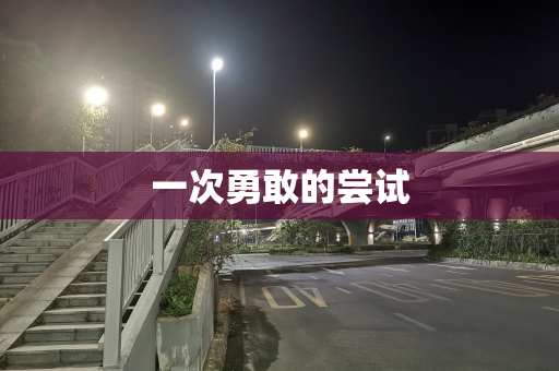 一次勇敢的尝试