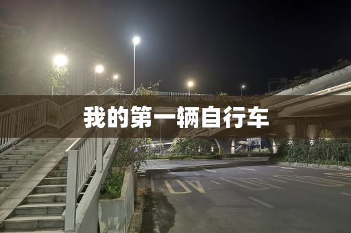 我的第一辆自行车