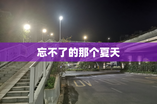 忘不了的那个夏天