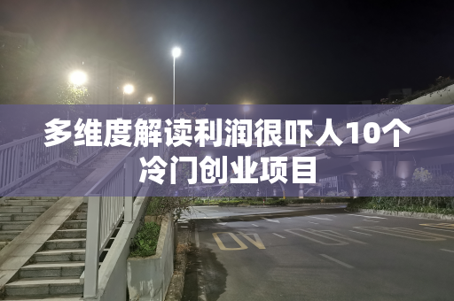 多维度解读利润很吓人10个冷门创业项目