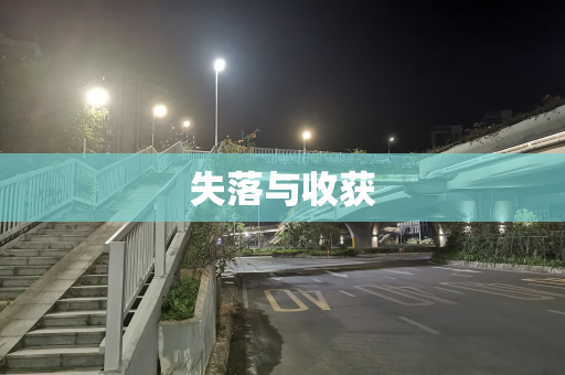 失落与收获