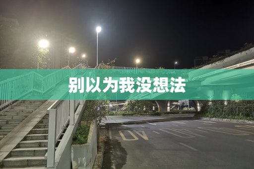 别以为我没想法