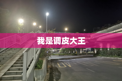 我是调皮大王