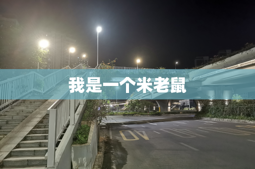 我是一个米老鼠