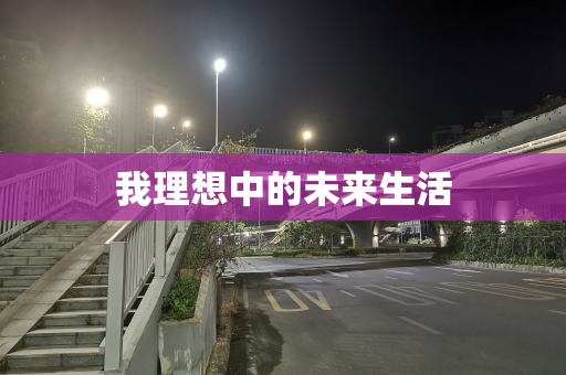 我理想中的未来生活