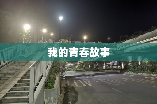 我的青春故事
