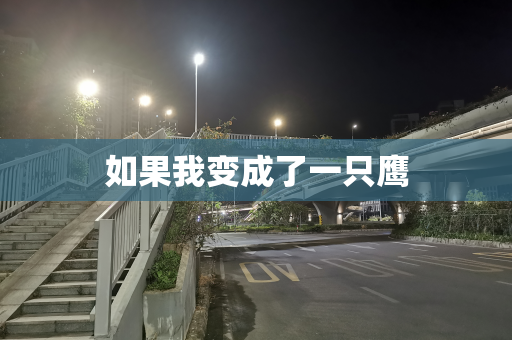 如果我变成了一只鹰