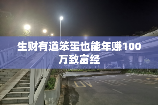 生财有道笨蛋也能年赚100万致富经
