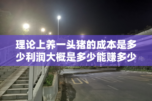 理论上养一头猪的成本是多少利润大概是多少能赚多少钱