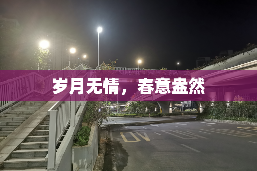 岁月无情，春意盎然