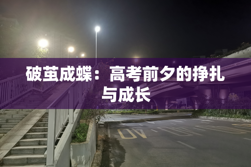 破茧成蝶：高考前夕的挣扎与成长