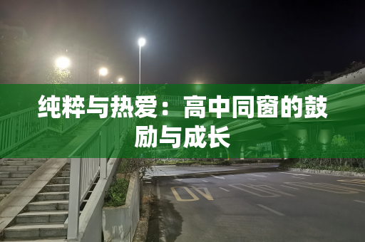 纯粹与热爱：高中同窗的鼓励与成长