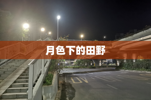 月色下的田野