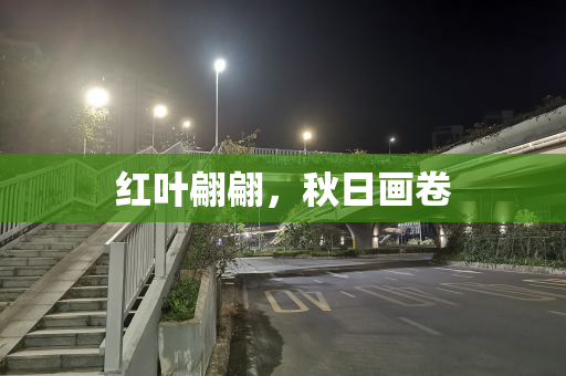 红叶翩翩，秋日画卷