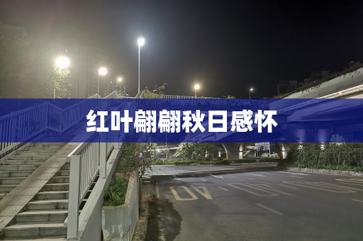 红叶翩翩秋日感怀