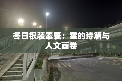冬日银装素裹：雪的诗篇与人文画卷