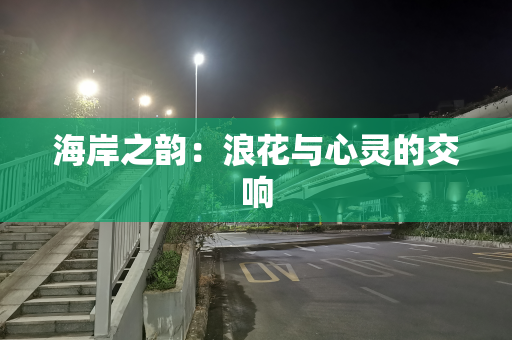 海岸之韵：浪花与心灵的交响