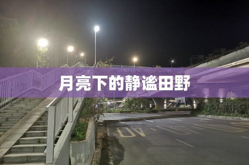 月亮下的静谧田野