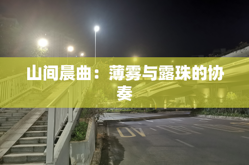 山间晨曲：薄雾与露珠的协奏