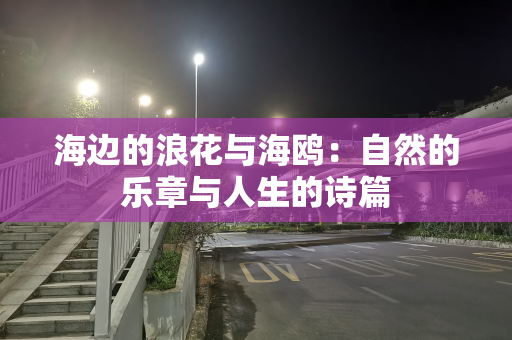 海边的浪花与海鸥：自然的乐章与人生的诗篇