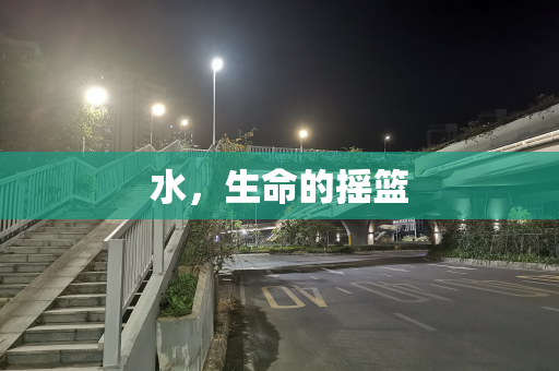 水，生命的摇篮