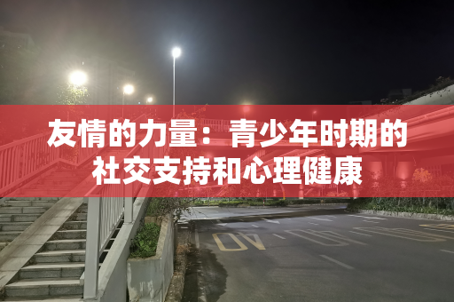 友情的力量：青少年时期的社交支持和心理健康