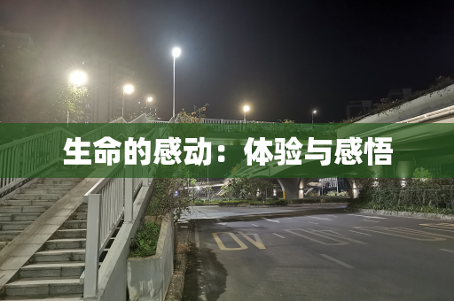 生命的感动：体验与感悟