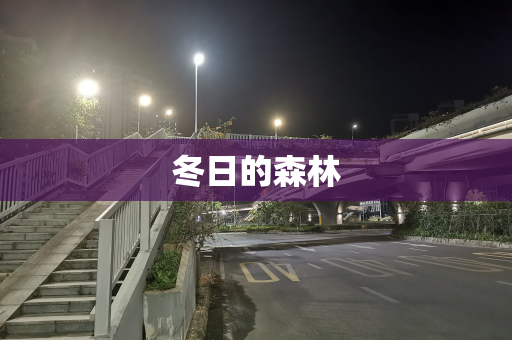 冬日的森林