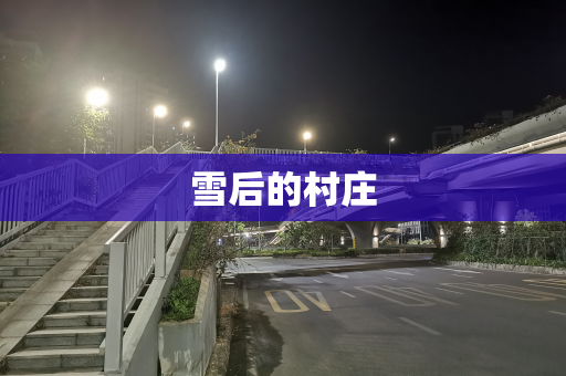 雪后的村庄