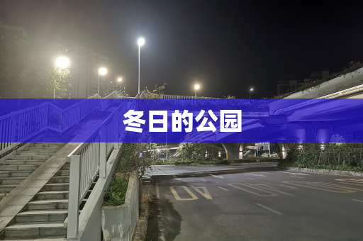 冬日的公园