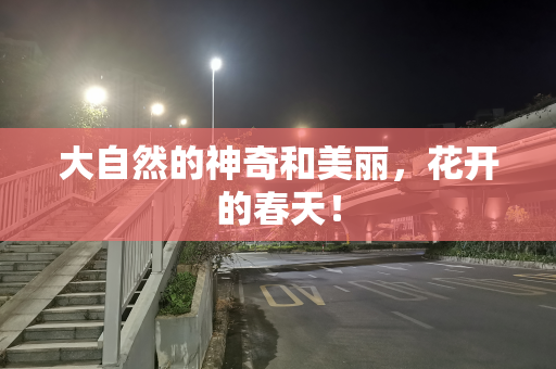 大自然的神奇和美丽，花开的春天！