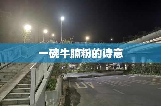 一碗牛腩粉的诗意