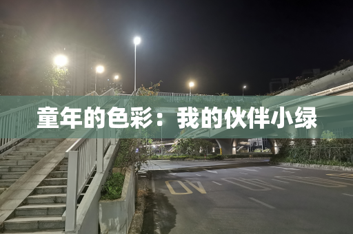 童年的色彩：我的伙伴小绿