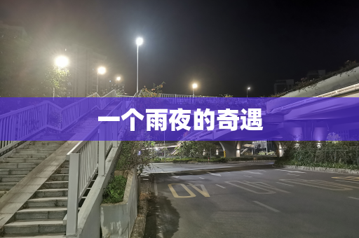 一个雨夜的奇遇
