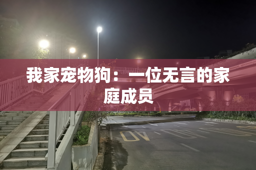 我家宠物狗：一位无言的家庭成员