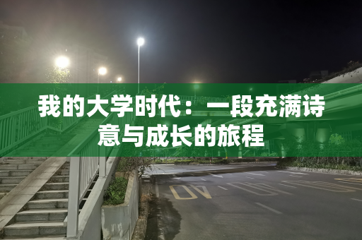 我的大学时代：一段充满诗意与成长的旅程