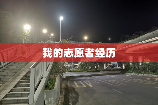 我的志愿者经历