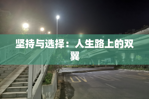 坚持与选择：人生路上的双翼