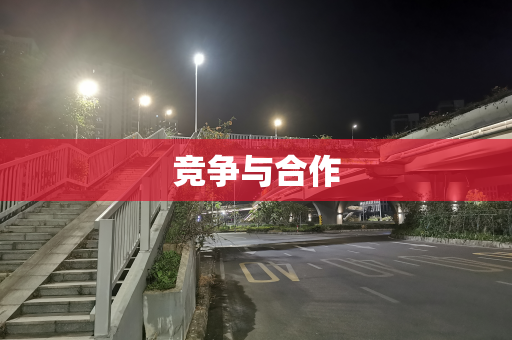 竞争与合作