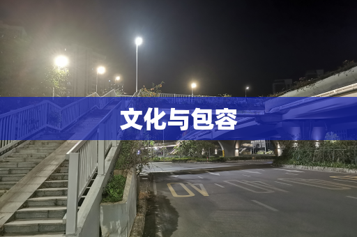 文化与包容