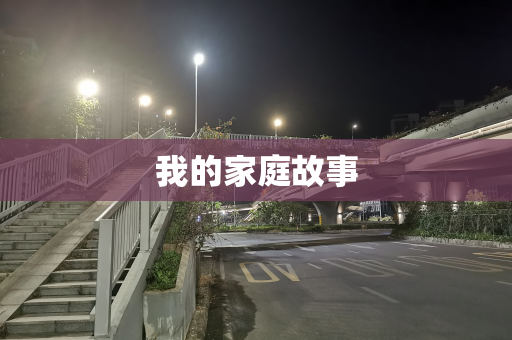 我的家庭故事