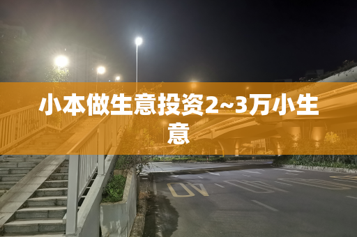 小本做生意投资2~3万小生意