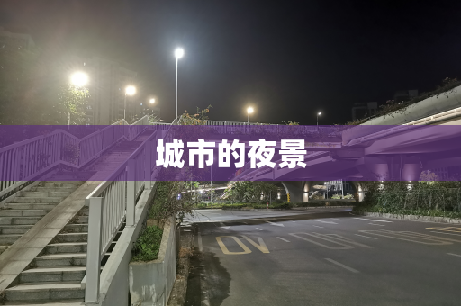 城市的夜景