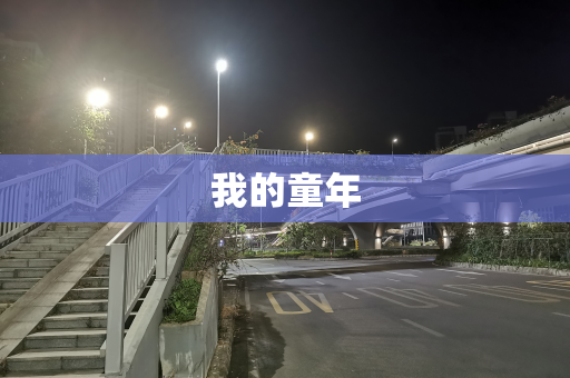 我的童年