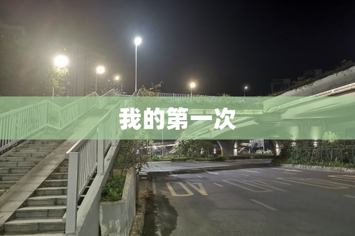 我的第一次