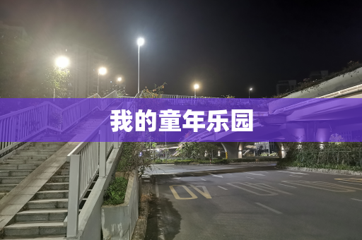 我的童年乐园
