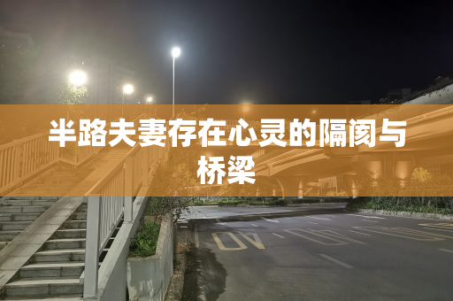 半路夫妻存在心灵的隔阂与桥梁