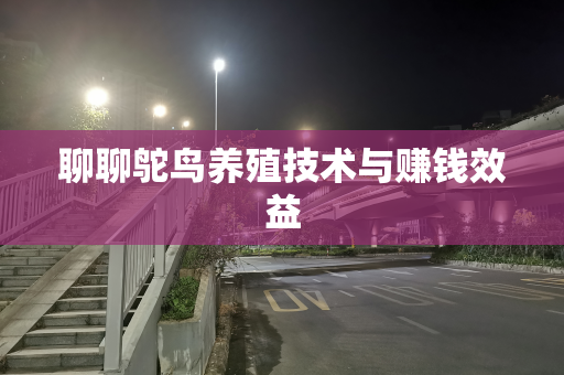 聊聊鸵鸟养殖技术与赚钱效益