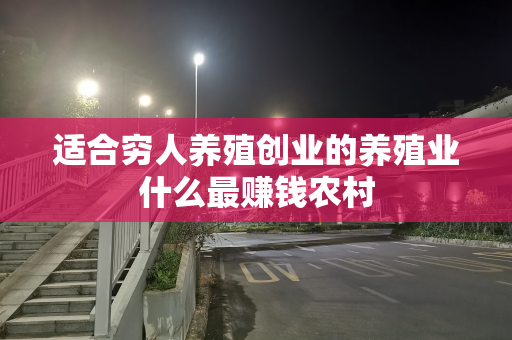 适合穷人养殖创业的养殖业什么最赚钱农村