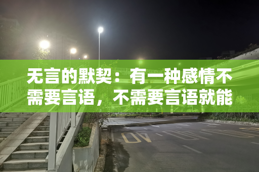 无言的默契：有一种感情不需要言语，不需要言语就能懂你